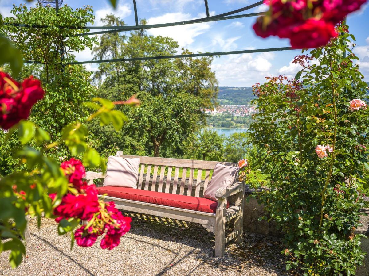 Schloss Freudenfels Eschenz Екстер'єр фото