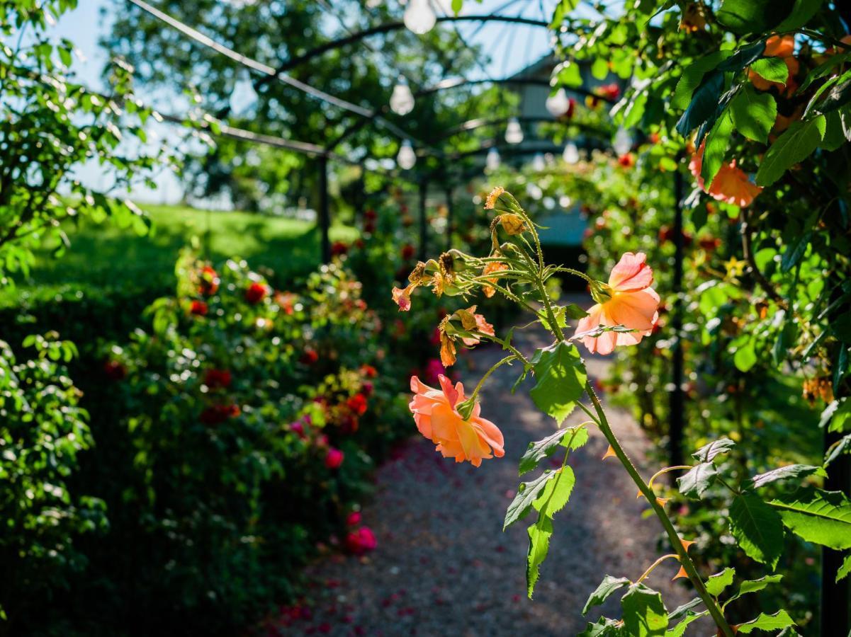 Schloss Freudenfels Eschenz Екстер'єр фото
