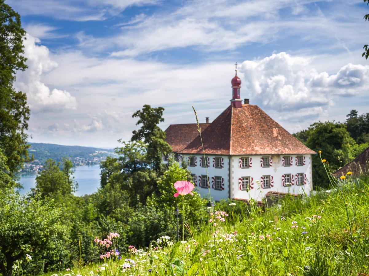 Schloss Freudenfels Eschenz Екстер'єр фото