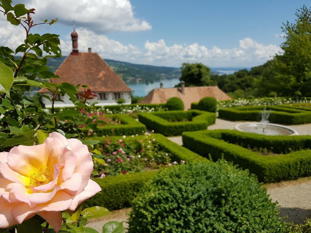 Schloss Freudenfels Eschenz Екстер'єр фото