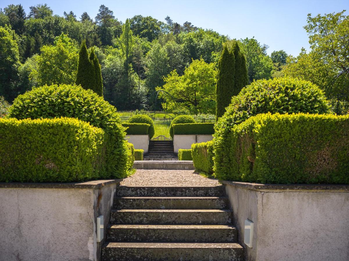 Schloss Freudenfels Eschenz Екстер'єр фото
