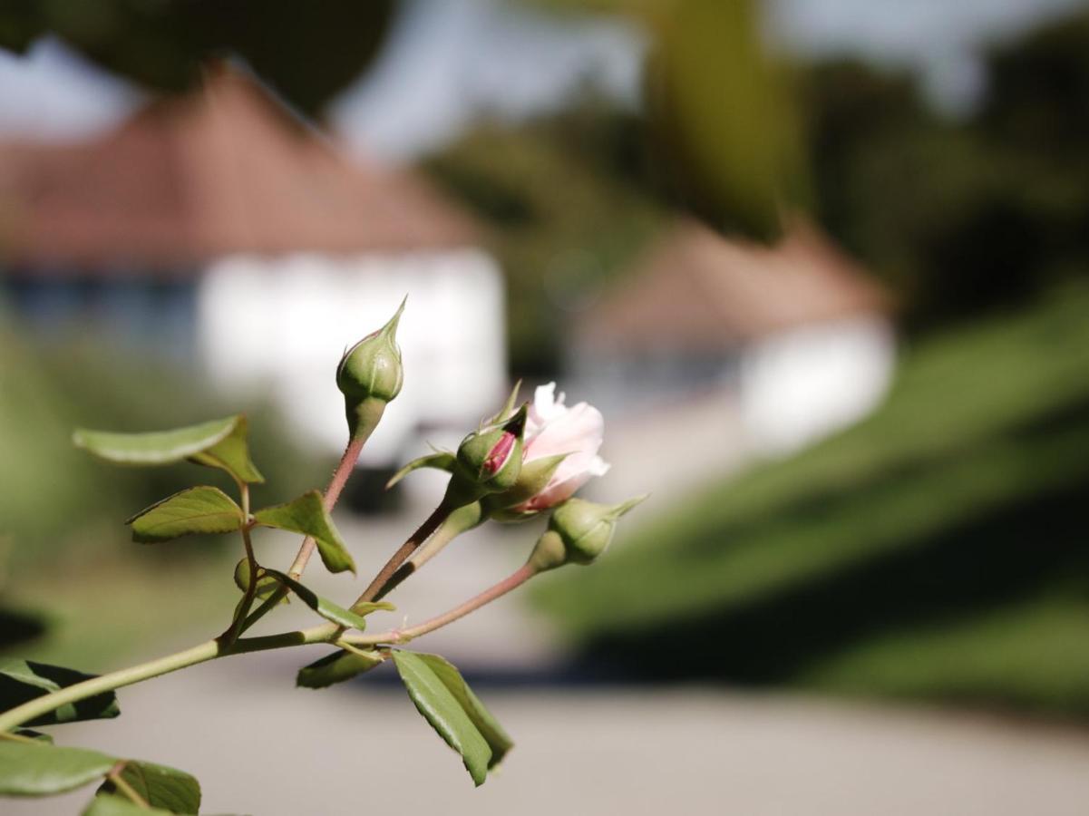 Schloss Freudenfels Eschenz Екстер'єр фото